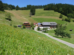 Ferienwohnung Auszeit -Gipfhof-